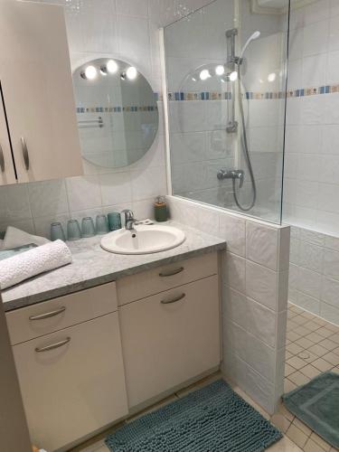 une salle de bain avec un lavabo et une douche avec un miroir dans l'établissement Le Duc de Savoie Thonon, à Thonon-les-Bains