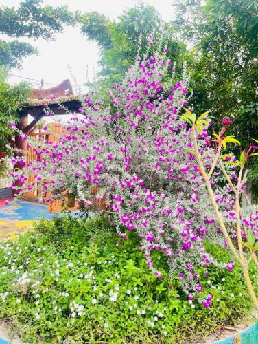 a bush of pink flowers with a bridge in the background at Leopard Farmhouse in Mhow