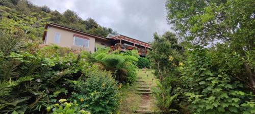 a house on the side of a hill with plants at Habitación con vista al mar in Puerto Montt