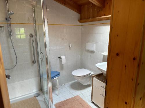 a bathroom with a shower and a toilet and a sink at Ferienwohnung Volgger in Mils bei Hall