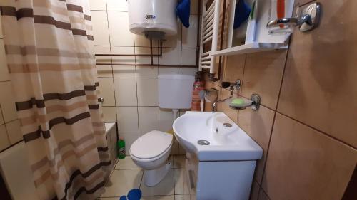 ein kleines Bad mit WC und Waschbecken in der Unterkunft Ismar&Hanna in Vlasic