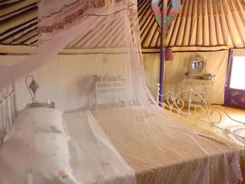 Exclusive Nirvana yurts Glamping