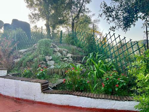 Zahrada ubytování Villa Platanias