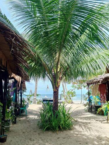 a palm tree on a sandy beach near the ocean at 8 Star Paradise in Locaroc