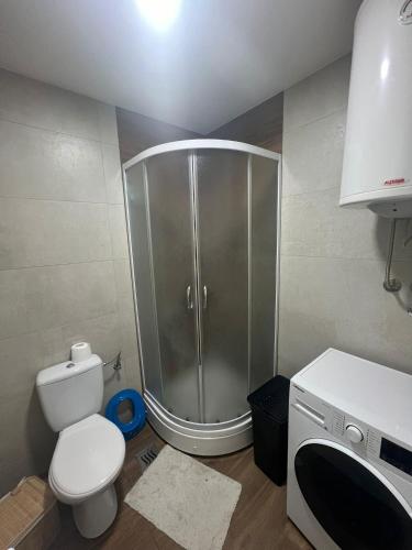 a bathroom with a shower with a toilet and a sink at Jednosoban stan kod Aqua Parka in Ub