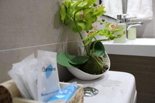 a plant in a vase on a counter in a bathroom at TuarriendoCL-MPHC304 Cómodo Departamento Puerto Varas in Puerto Varas