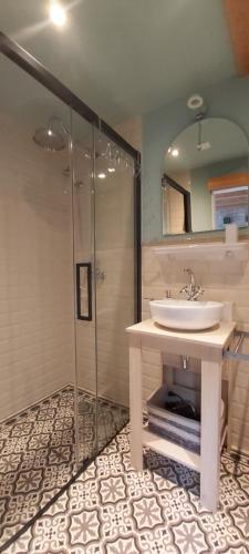 a bathroom with a sink and a shower at Tiny House Tholen in Tholen