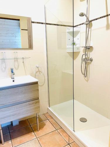 a bathroom with a shower and a sink at L'étape Provencale in Cabriès