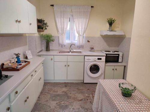 a kitchen with a sink and a washing machine at Potami Studios in Lefkímmi