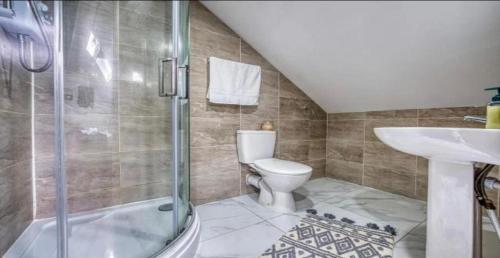 a bathroom with a toilet and a sink and a shower at Modern Flat near City Centre - 8 Guests, 2 Baths in Cardiff