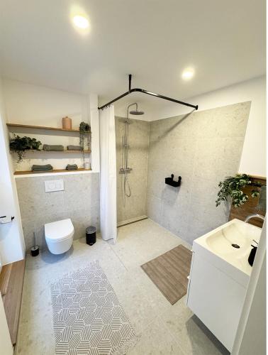 a bathroom with a shower and a toilet and a sink at FeWo Anders - Neubau mit Balkon im Bergischen Land in Reichshof 
