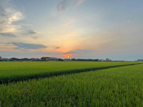 Gallery image of MostPopular!!! Hay Cafe TranquilFields - OnlyYou with Hay, Rentable For Event in Sekincan