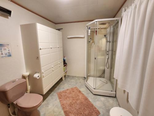 La salle de bains est pourvue d'une douche et de toilettes roses. dans l'établissement Tromtind Lodge, à Tromsø