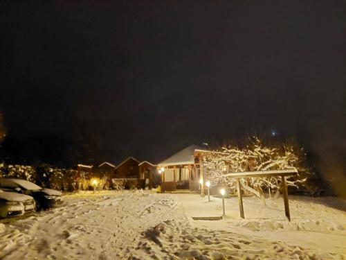 a yard covered in snow at night with lights at Casa Preto E Branco in Moieciu de Jos