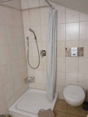 a bathroom with a shower with a toilet and a sink at Wellness Pension Hubertus in Marquartstein