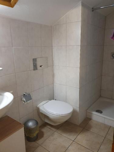 a bathroom with a white toilet and a sink at Wellness Pension Hubertus in Marquartstein