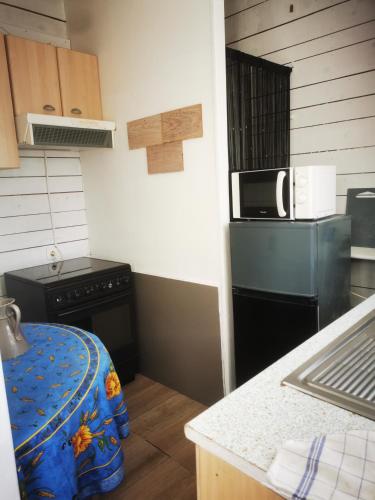 une petite cuisine avec une cuisinière et un micro-ondes dans l'établissement petite maison 15 mn à pied du marche et vieux port, à La Rochelle