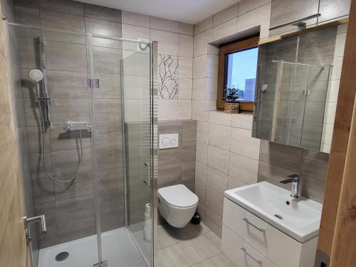 a bathroom with a shower and a toilet and a sink at Apartmán na Karlíčku in Karlov
