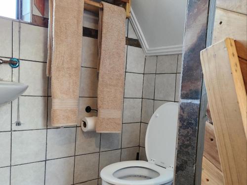 a small bathroom with a toilet and a sink at Mzimkhulu Ranch & Resort in Dinokeng Game Reserve