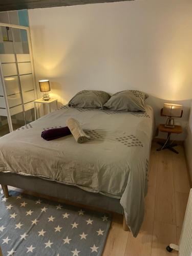 Bel appartement cosy centre Veules-Les-Roses Parking privé WIFi
