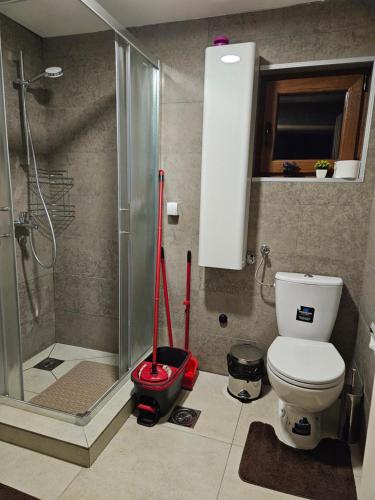 a bathroom with a shower and a toilet and mop at Brvnara “Vidik Breg” in Bajina Bašta