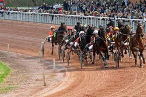 a group of horses racing on a race track at Appartement indépendant. in Beaumont-de-Lomagne