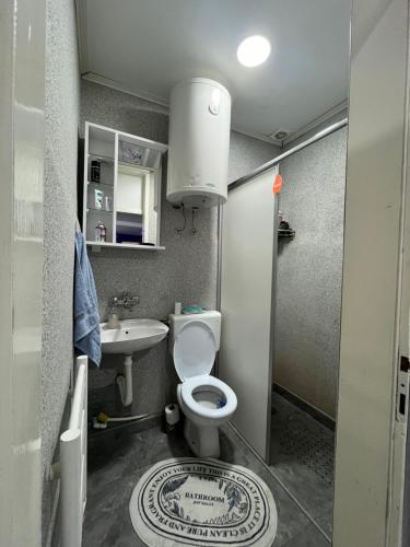 ein kleines Bad mit WC und Waschbecken in der Unterkunft Stan na dan Paracin in Paraćin