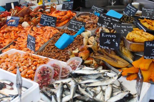 une exposition de différents types de poissons sur un marché dans l'établissement Studio Oslo au cœur de la ville, à Boulogne-sur-Mer