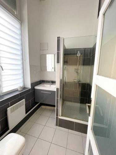 une salle de bain avec douche et lavabo dans l'établissement Studio Oslo au cœur de la ville, à Boulogne-sur-Mer