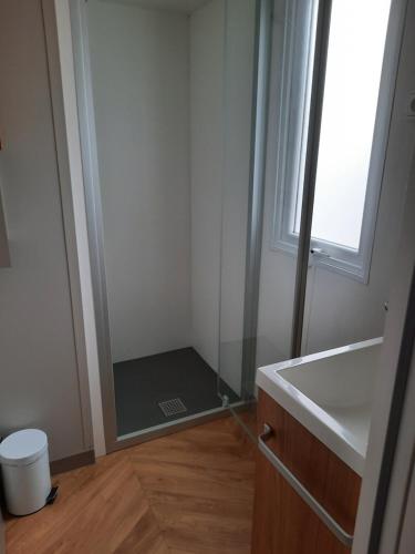 une salle de bain avec une douche avec un lavabo et un miroir dans l'établissement Aquapark -DESS, à Vias