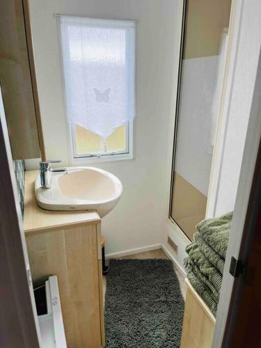 a small bathroom with a sink and a window at Equi-lodge vert au coeur des chevaux & de la nature proche Disney avec possibilité de balade poneys in La Houssaye-en-Brie