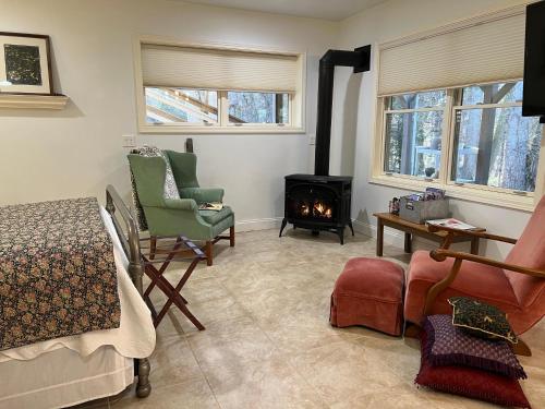 un soggiorno con letto e camino di Robins Nest 10 min to Asheville Biltmore bkfst hot tub fireplace sparkling water ad Asheville