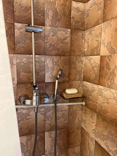 a bathroom with a shower with a shower head at Cozy apartment in Ljubljana - Free parking in Ljubljana