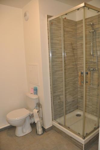 uma casa de banho com um WC e uma cabina de duche em vidro. em Appartement Cosy Proche Disneyland - tout Confort em Chessy