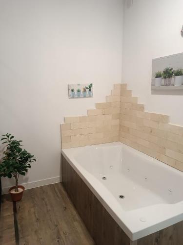 a large bath tub in a white room with a potted plant at Apartamentos turisticos Avila Puerta de San Vicente 0-2 in Avila