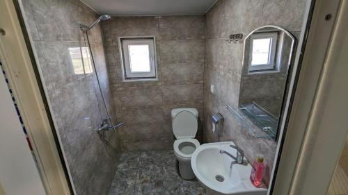 a bathroom with a toilet and a sink and a shower at guesthouse gareji in Udabno