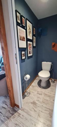 a bathroom with a toilet and pictures on the wall at Gite du bourbouillon in Largillay-Marsonnay