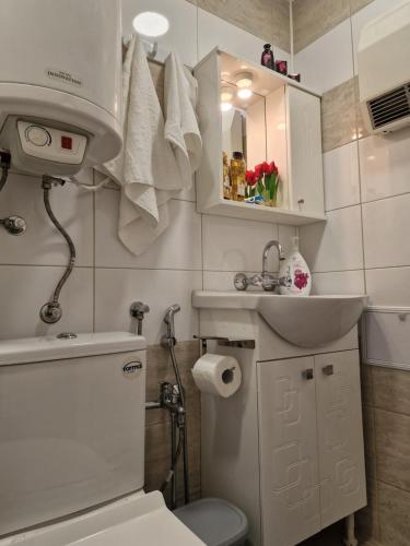 a small bathroom with a toilet and a sink at Уютен 2-стаен Апартамент в Центъра на Добрич in Dobrich