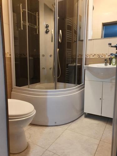 ein Bad mit einer Dusche, einem WC und einem Waschbecken in der Unterkunft CASA LAURENTIU in Borşa