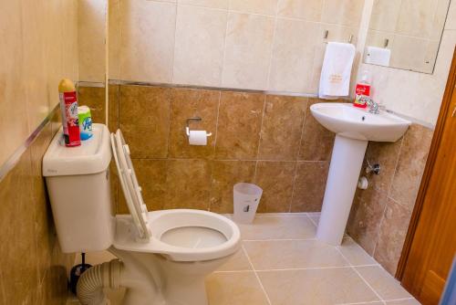 a bathroom with a toilet and a sink at Glamour Suites in Nanyuki