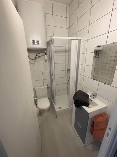 une salle de bain avec une douche, des toilettes et un lavabo dans l'établissement Le Petit Saint-Ruf, à Avignon