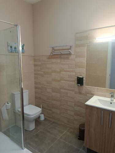 a bathroom with a toilet and a sink and a mirror at ApartamentosTuristicos Avila Puerta del Alcazar 0-1 in Ávila