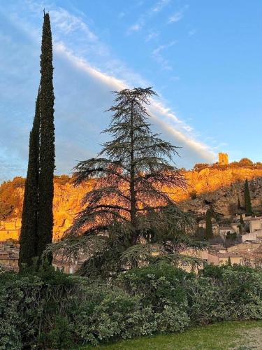 Gallery image of La Cadelle in Cotignac