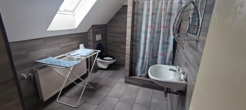 La petite salle de bains est pourvue d'un lavabo et d'une douche. dans l'établissement Ubytování Na Stráni, à Jablonec nad Nisou