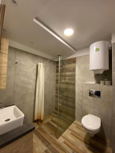a bathroom with a toilet and a sink and a shower at Milmari Premier 28 Kopaonik in Kopaonik