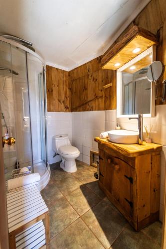 a bathroom with a toilet and a sink and a shower at Huiro Lodge in Puerto Corral