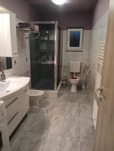 a bathroom with a shower and a toilet and a sink at Apartment D&J 2 in Mošćenička Draga