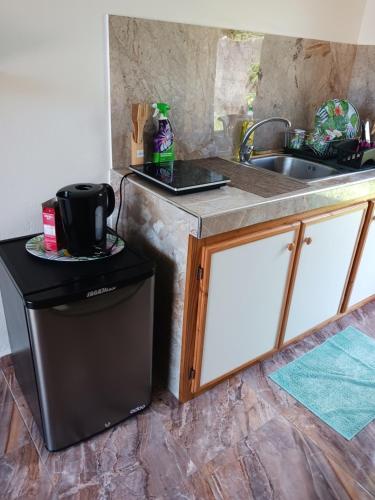 uma cozinha com um lavatório e uma bancada em Ohana RBNB studio " Kaveka" em Tevaitoa