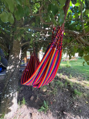 a hammock hanging from a tree in a park at Siempre Verde in Puerto Tranquilo