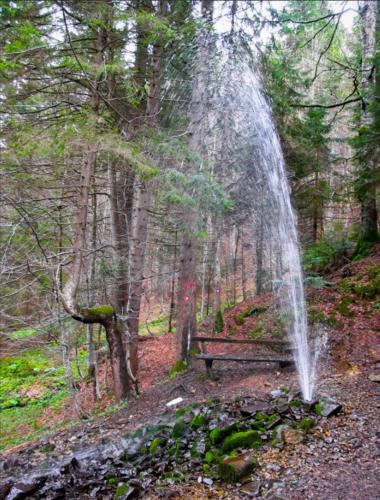 a park bench in the woods with a fountain at Studio Pablo Vila Bela Reka in Brzeće